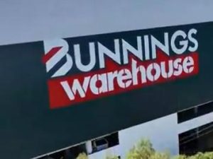 Bunnings crowned Australia’s most trusted brand as trust in online giant Temu collapses