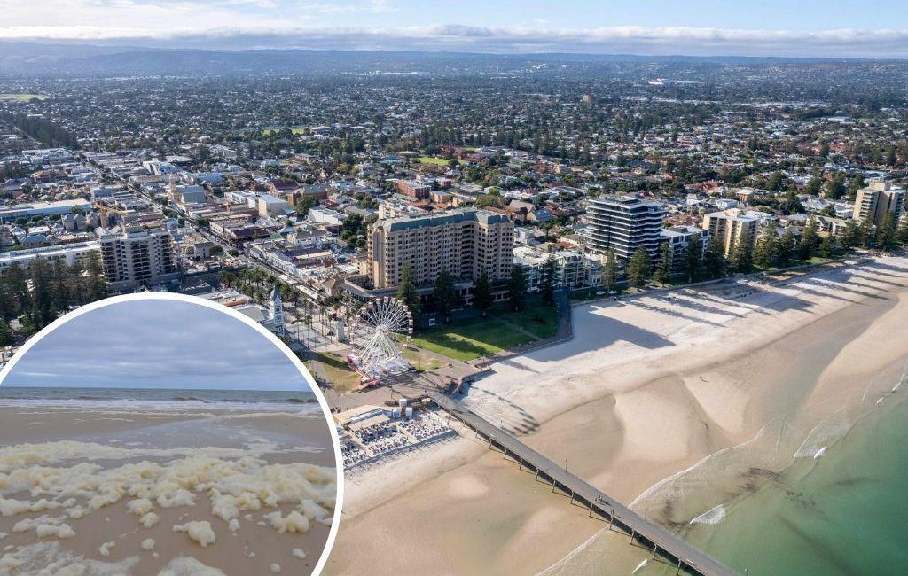 Last minute holiday bookings expected amid SA’s algae crisis