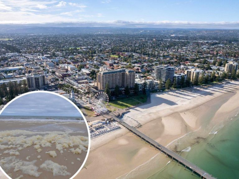 Last minute holiday bookings expected amid SA’s algae crisis