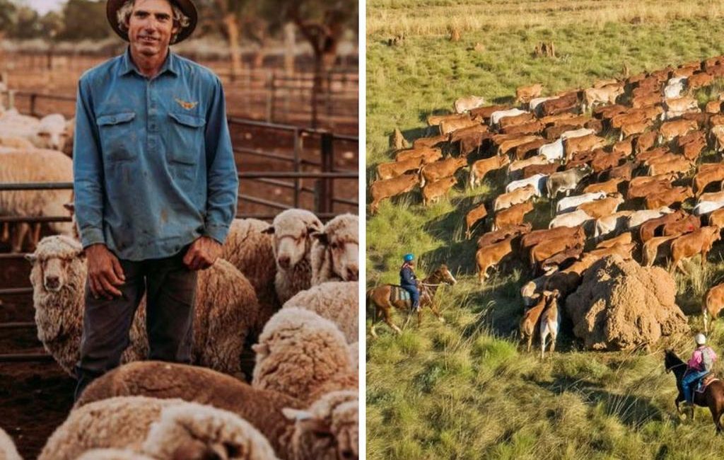 Foreign investors snap up Australian farmland larger than 148 countries combined