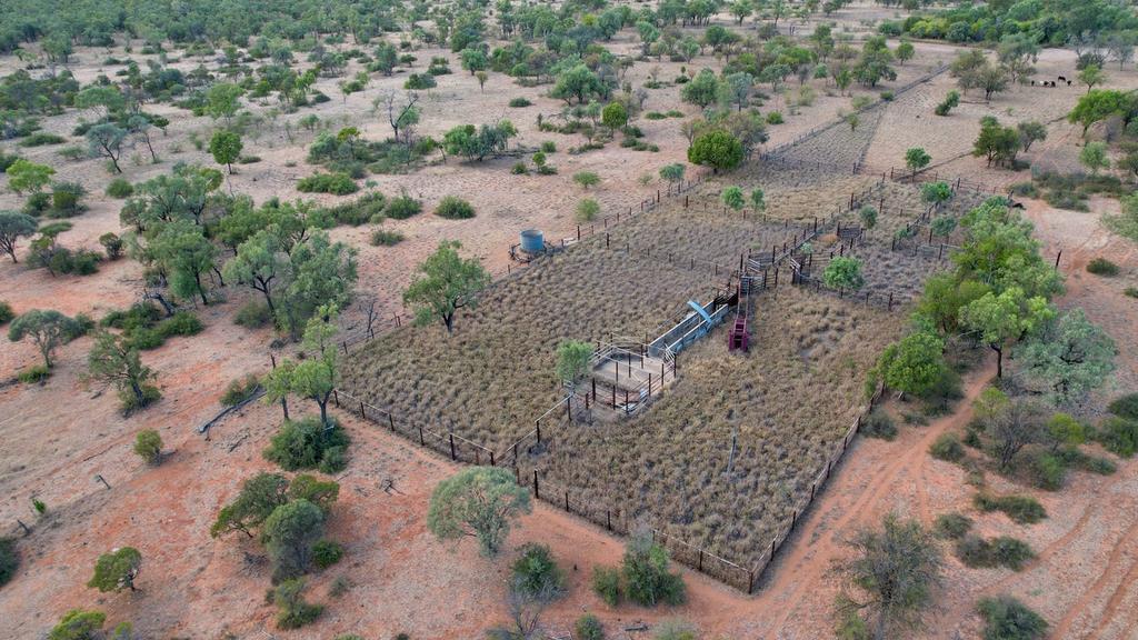 Supplied Real Estate Glendower Station. Source: Realestate.com.au