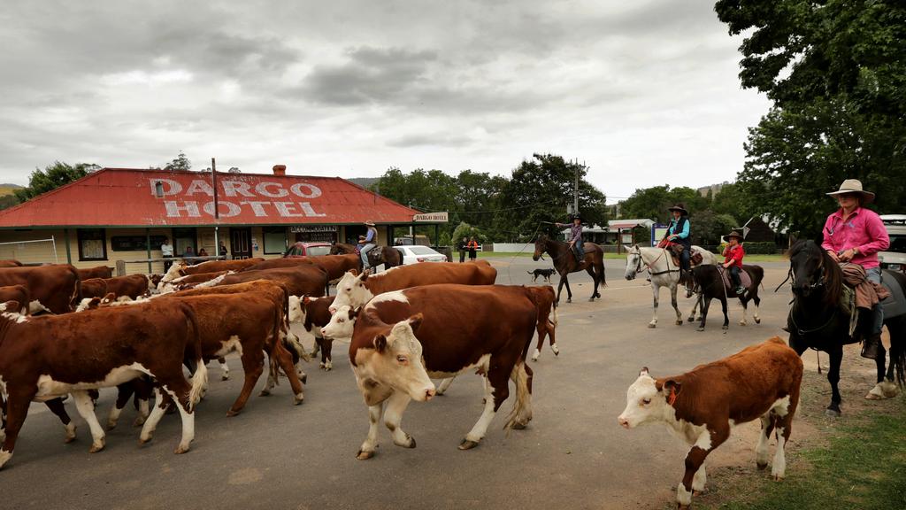 The Women from Snowy River