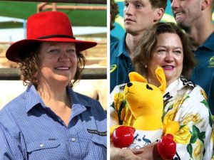 State land tax ‘forces’ Gina Rinehart to sell 3 cattle stations