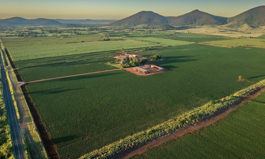 Rackway Farms, a peanut producer, in Coalstoun Lakes is for sale. Picture: realcommercial.com.au 
