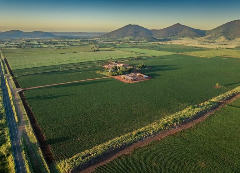 In a nutshell: ‘Emotional decision’ to sell prime peanut farm