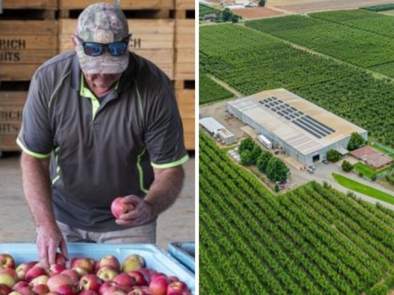 Goulburn Valley growers team up to sell massive orchard region