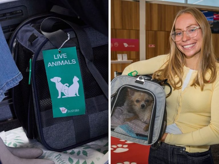 Virgin Australia pet flights expanded but most dogs still banned by 8kg rule